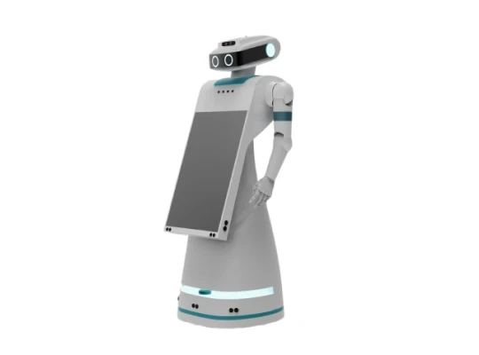 reception robot